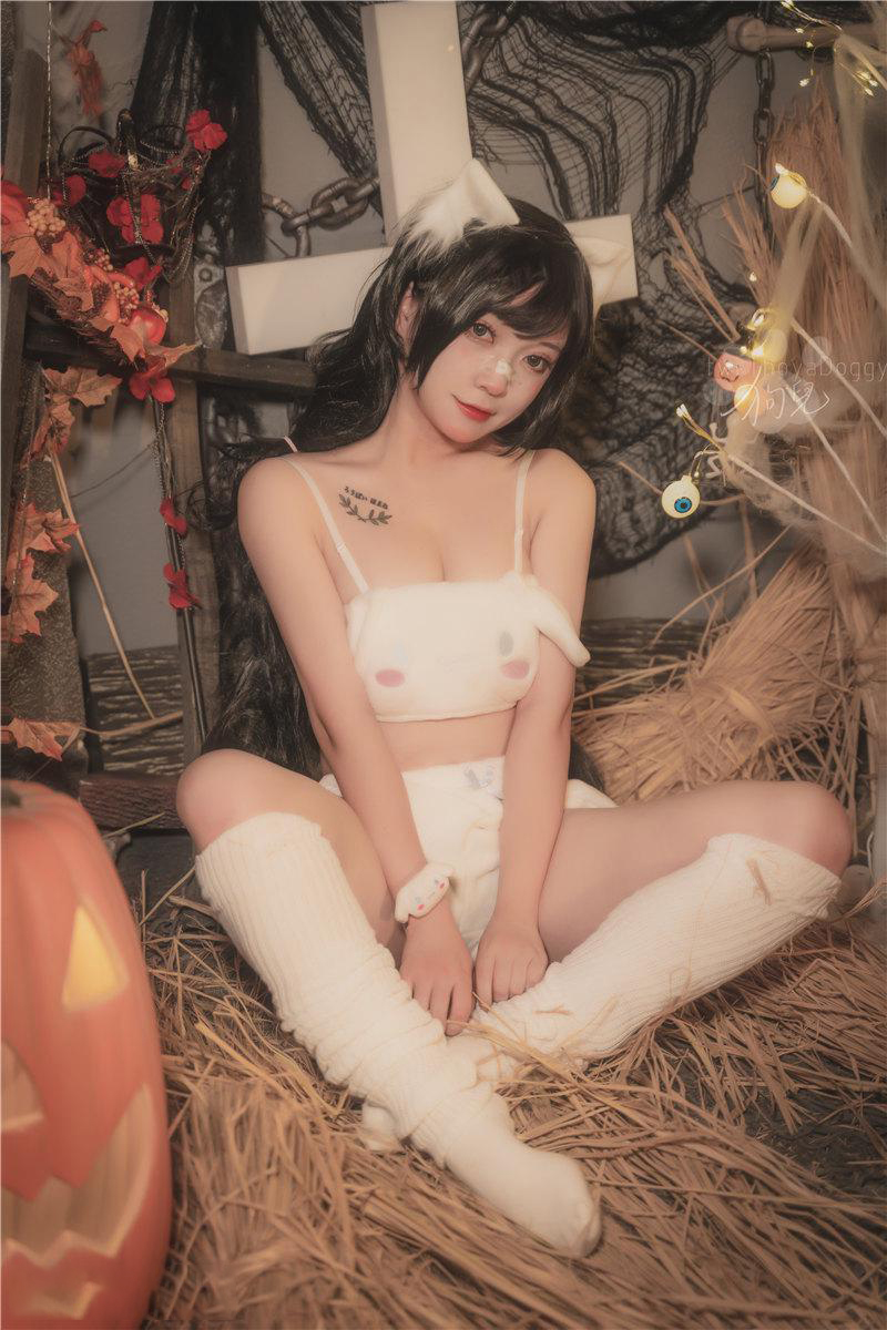 图片[3]-美图世界，无限精彩--奇行家狗崽